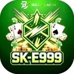 E999 Game