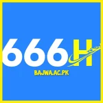 666h Game