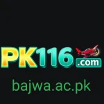 Pk116 Game