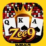 ZEE9 Game